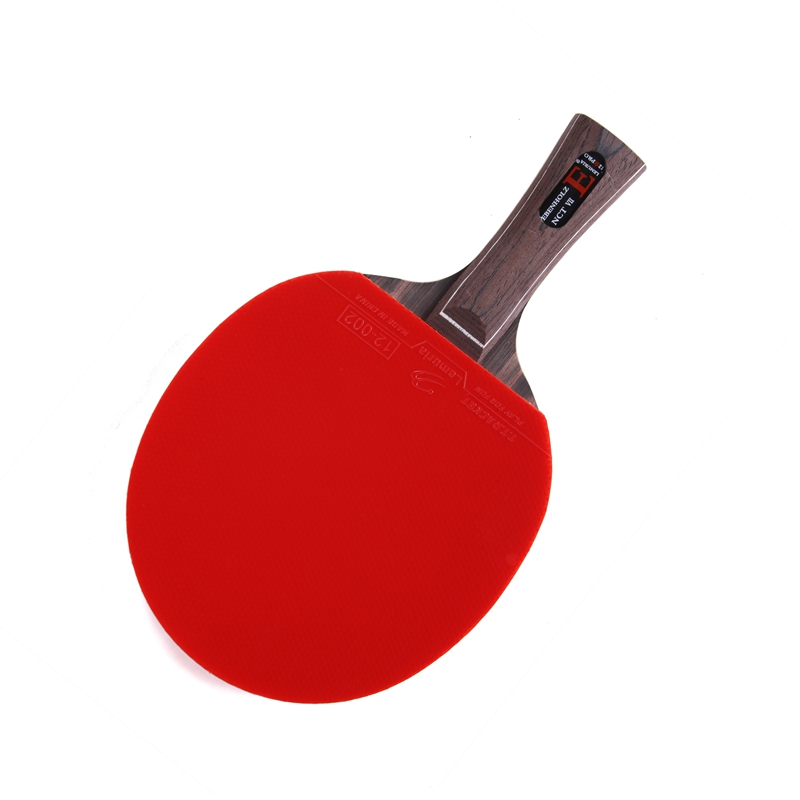 Lemuria EBENHOLZ - Racchetta d - Table Tennis Review recensione e prezzo