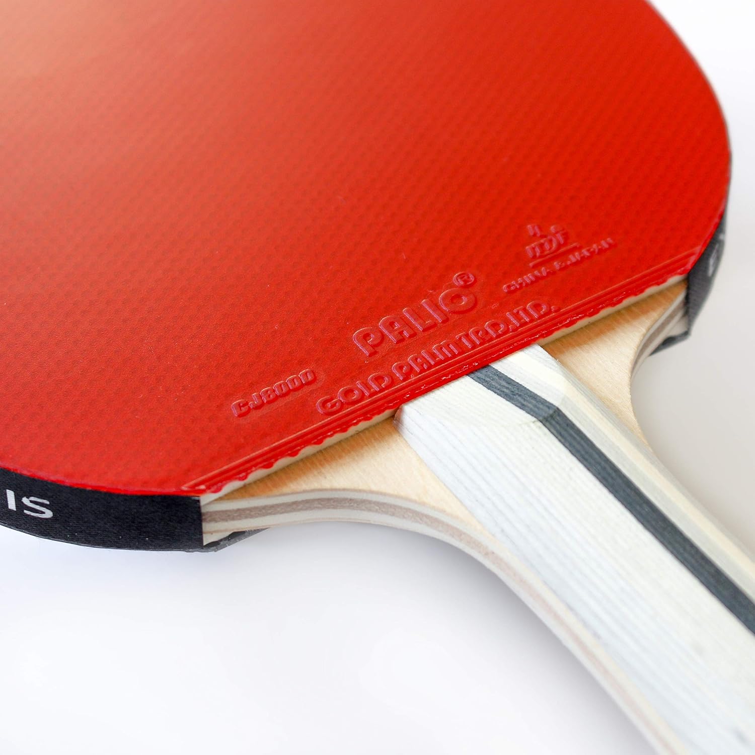 Racchetta da Ping Pong ad Alte - Table Tennis Reference recensione e prezzo