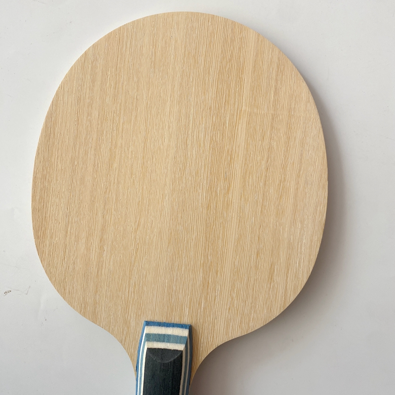 Racchetta da Ping Pong Lemuria - Table Tennis Review recensione e prezzo