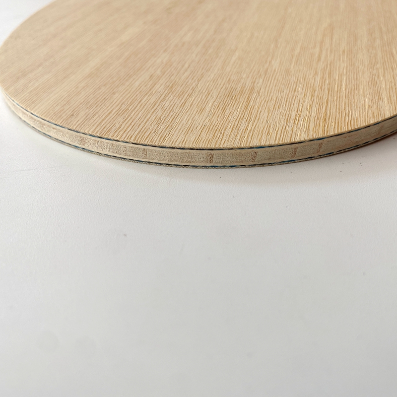 Racchetta da Ping Pong Lemuria - Table Tennis Review recensione e prezzo