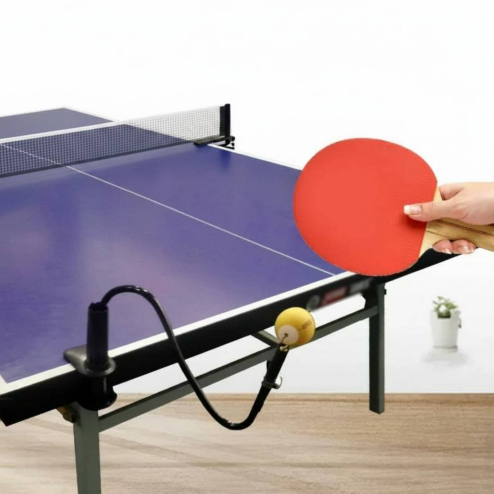 Attrezzo per Allenamento Indiv - Table Tennis Youtube recensione e prezzo